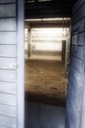 Mauthausen - Gusen - 2016 - 35 di 65