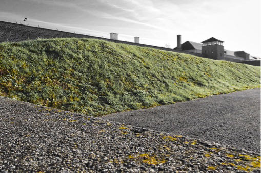 Mauthausen - Gusen - 2016 - 50 di 65