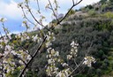 Monterosso - 2014 - 26 di 27