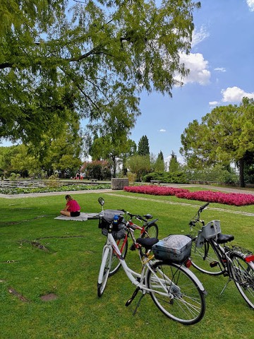 Parco Sigurt - 2018 - 5 di 26