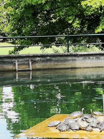 Parco Sigurt - 2018 - 8 di 26