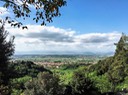 San Miniato e San Gimignano - 2016 - 12 di 14