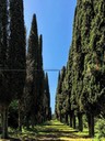 San Miniato e San Gimignano - 2016 - 14 di 14