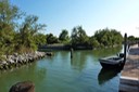 Venezia - Isola di Torcello - 2009 - 2 di 28